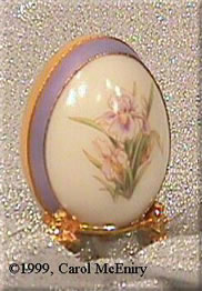 goose-iris.jpg (25958 bytes)